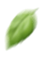 shape