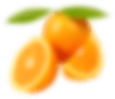 fruit-img